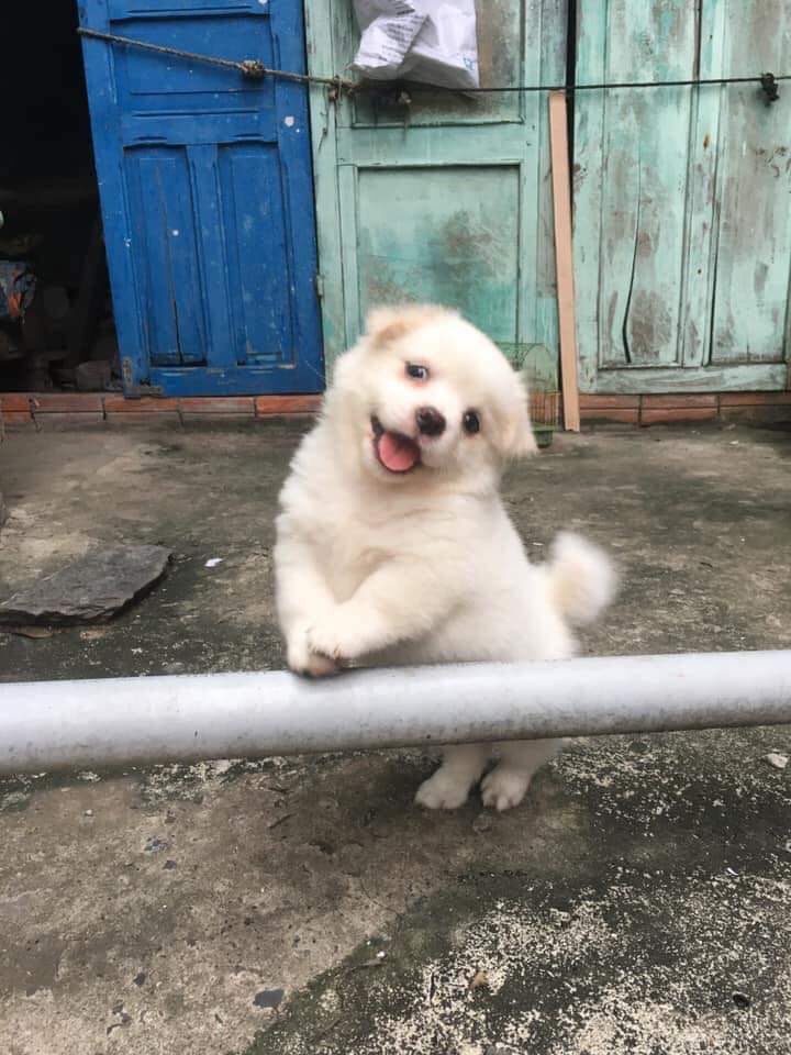 랜덤 유게짤1_3.jpg