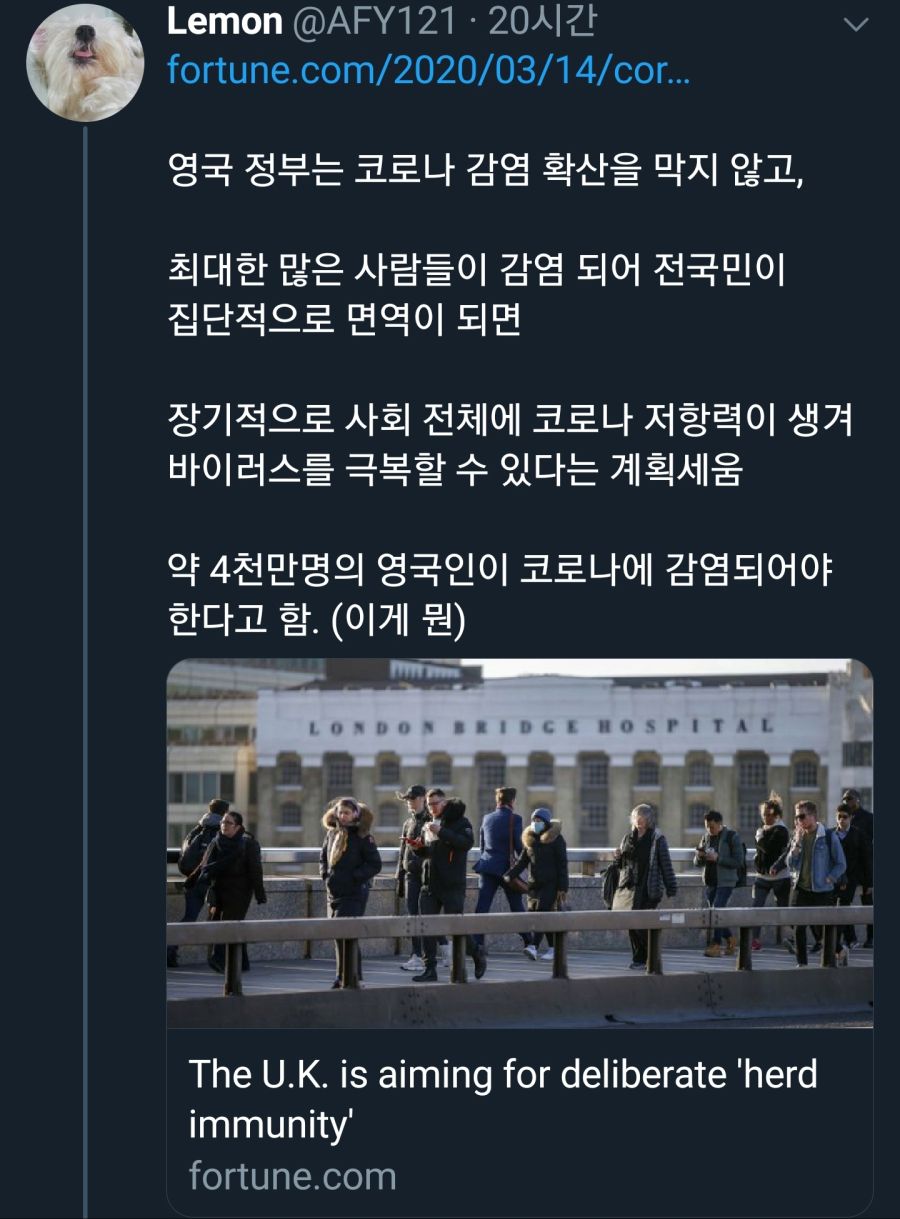 어메이징 영국 코로나 대책 근황_2.jpg