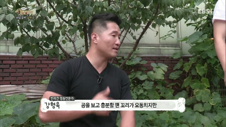 개의 꼬리는 마음대로 컨트롤 할 수 없다_7.jpg