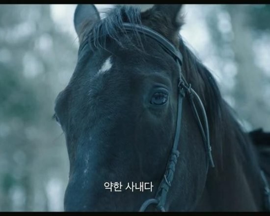 권영진 실신쇼의 진가는 디테일에 있다ㅋㅋㅋㅋ_2.jpg
