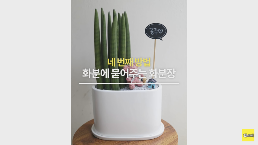 죽은 햄스터 시체를 처리하는 방법_6.png