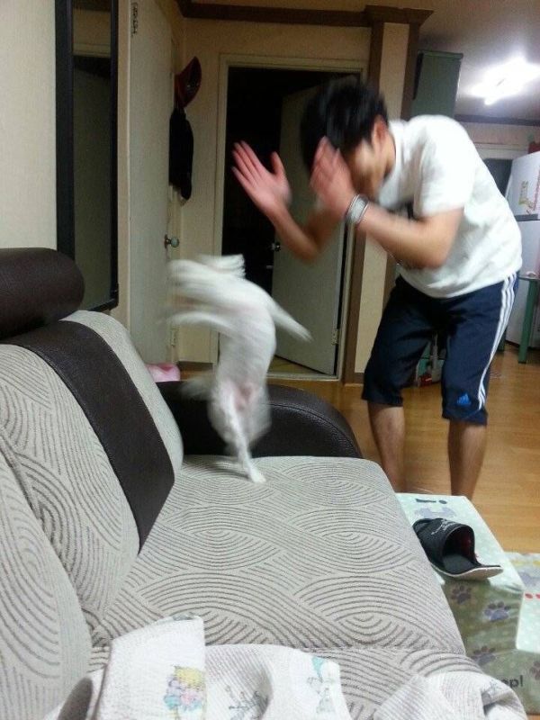 요전에 서울간 김에 코노스바 극장판 봤는데_1.jpg