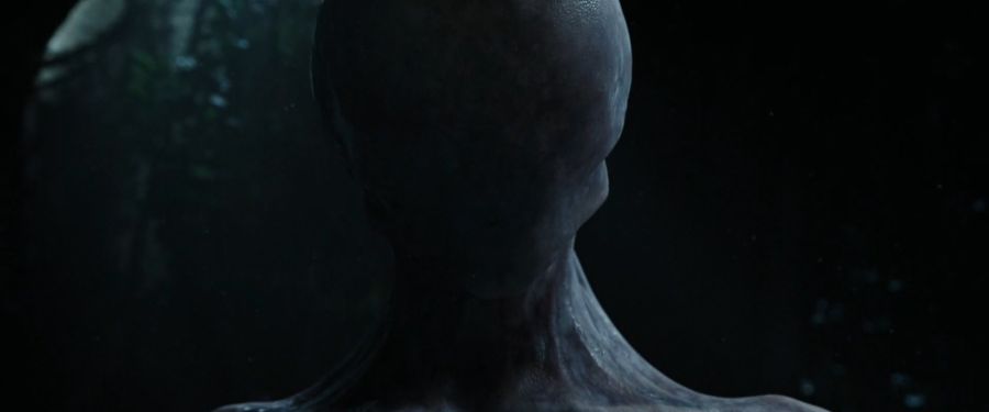 Alien.Covenant.2017.1080p.BluRay.x264-[YTS.AG].mp4_20200405_114835.323.jpg