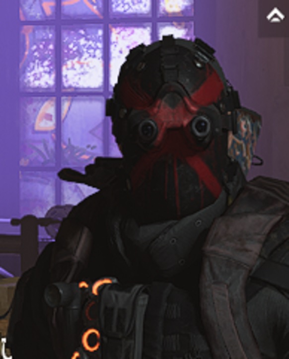 d2 mask.jpg