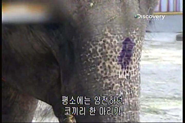 파괴의 찰나(31회).mp4_20200415_233555.080.jpg