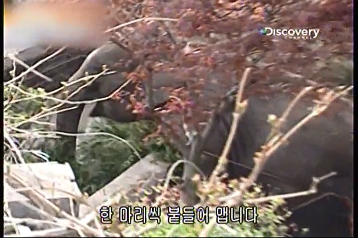 파괴의 찰나(31회).mp4_20200415_233623.071.jpg