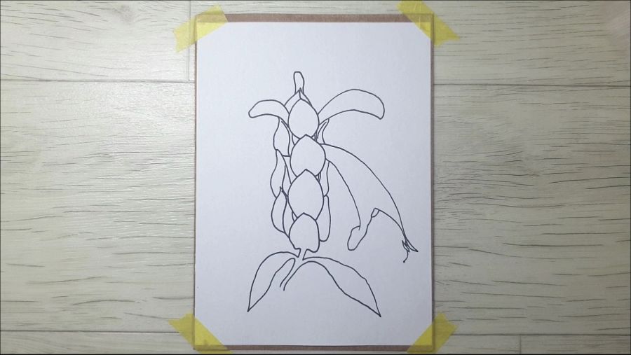 금새우꽃을 그려봤습니다._3.jpg