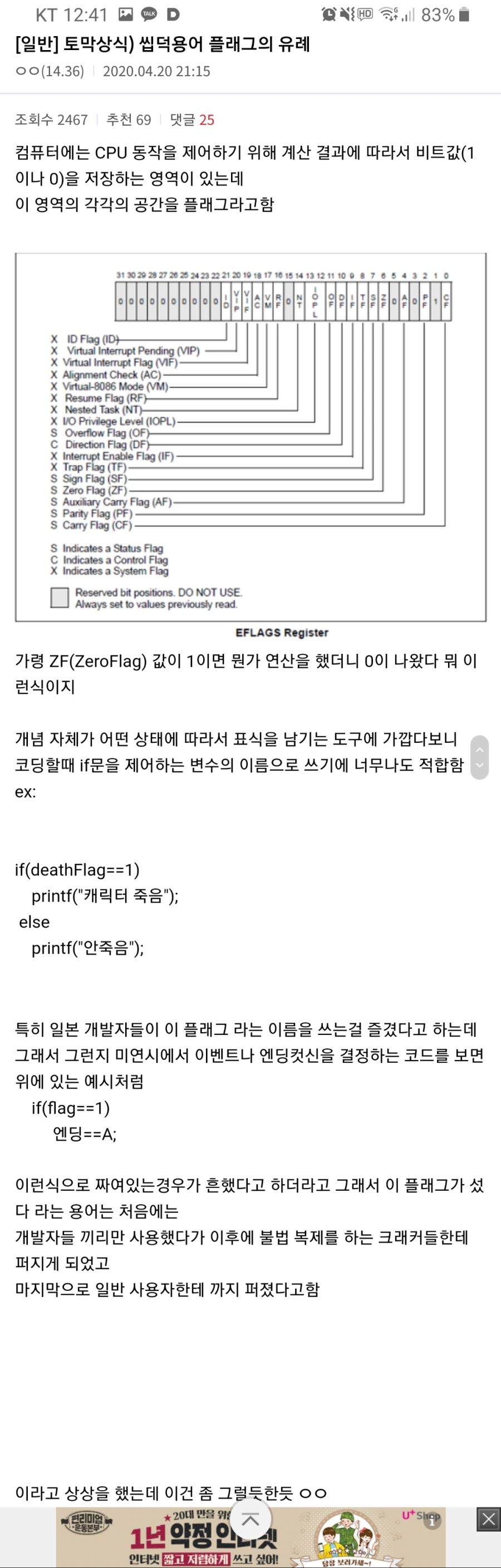 '플래그가 섰다'라는 단어의 유래_1.jpg