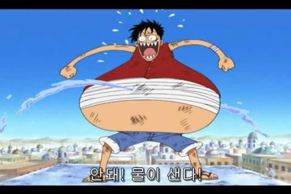 부탁한다... 밀짚모자!_2.jpg