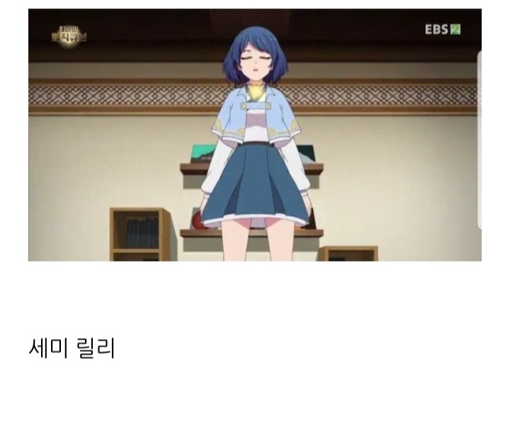 점점 다양해지는 세미