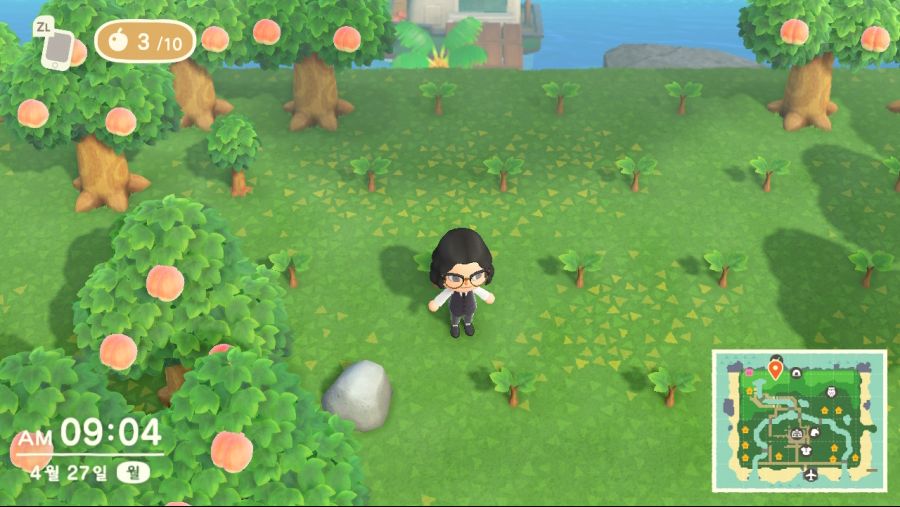 나무가 안자라는데 이유가 뭘까요?_1.jpg