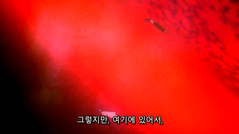 [에반게리온] 최초로 LCL에서 탈출한 인간, 이카리 신지._31.jpg