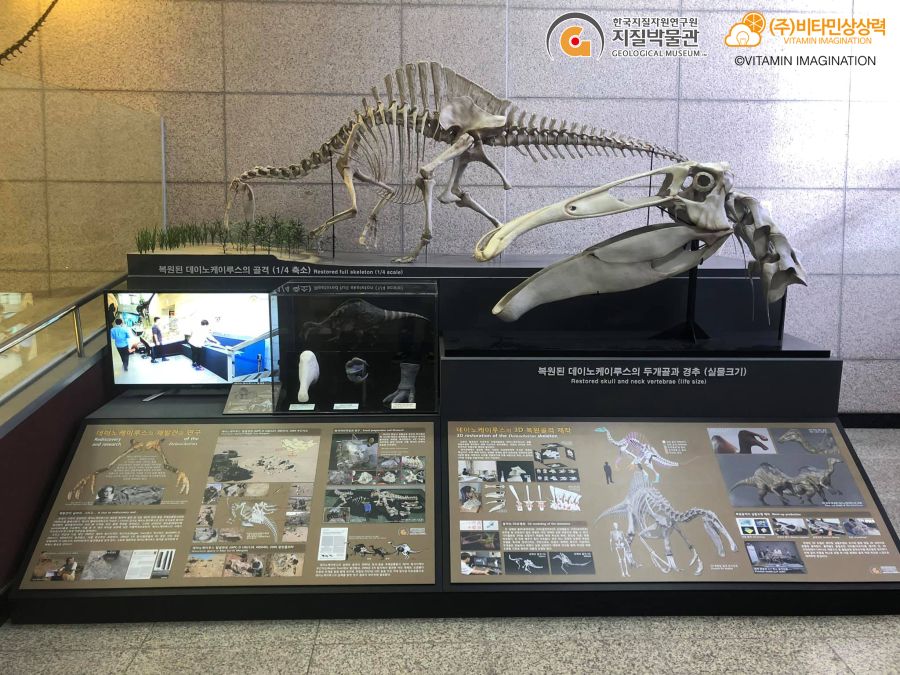 어른이? 날 특집 미스터리공룡 데이노케이루스 복원 과정기_71.jpg