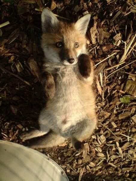 누르지마 누르지마 누르지마 누르지마 누르지마 누르지마_2.jpg