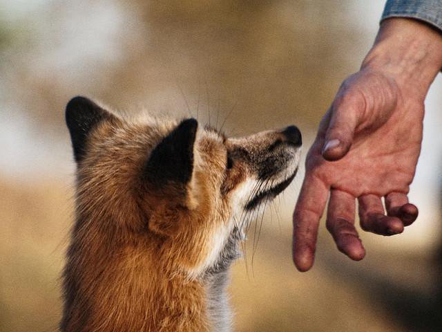 누르지마 누르지마 누르지마 누르지마 누르지마 누르지마_7.jpg