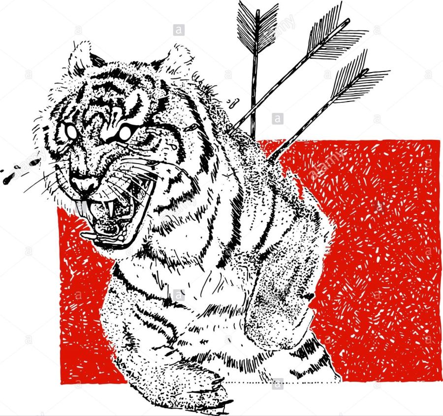 tigre-agressif-dessine-a-la-main-avec-des-fleches-et-des-larmes-theme-tatouage-vector-illustration-croquis-m4x7cn.jpg