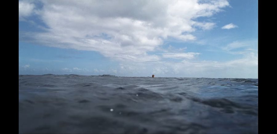 돌아보지말고 가라..._1.jpg