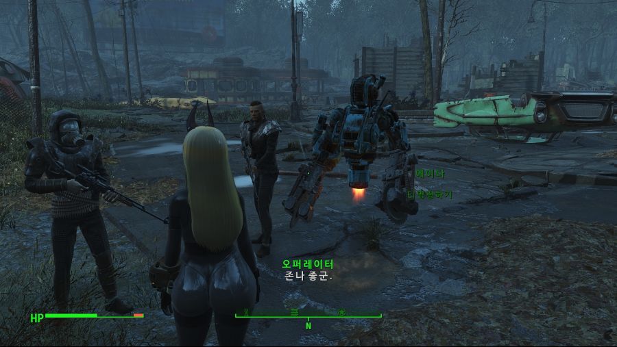 Fallout4_ (30).jpg