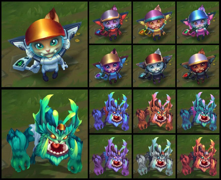 Gnar_Gnar_Test_Chromas-web.jpg