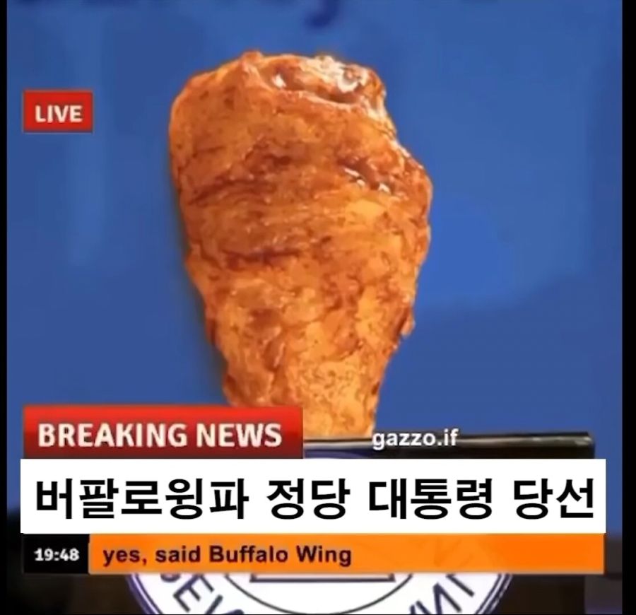 좌익이세요? 아님 우익?_2.jpg