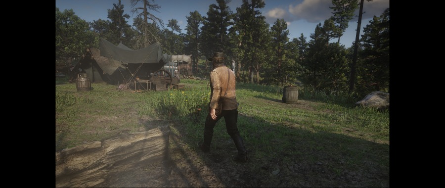 Red Dead Redemption 2 Screenshot 2020.06.07 - 14.33.26.46.png
