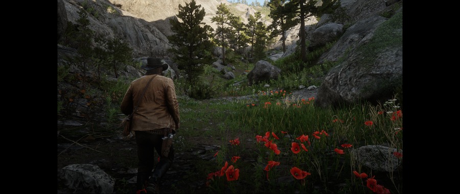 Red Dead Redemption 2 Screenshot 2020.06.07 - 15.49.26.27.png