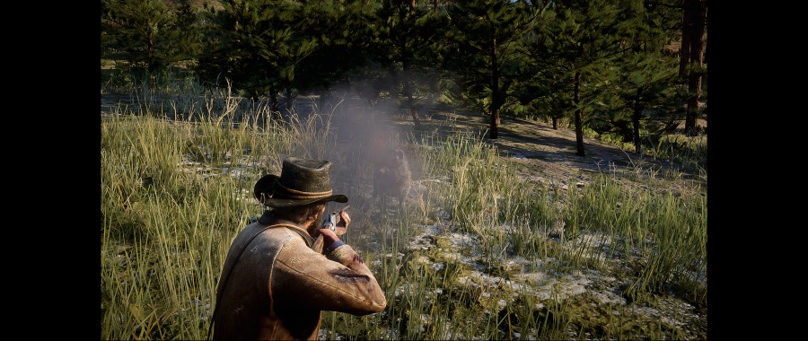 Red Dead Redemption 2 Screenshot 2020.06.07 - 17.57.02.64.png