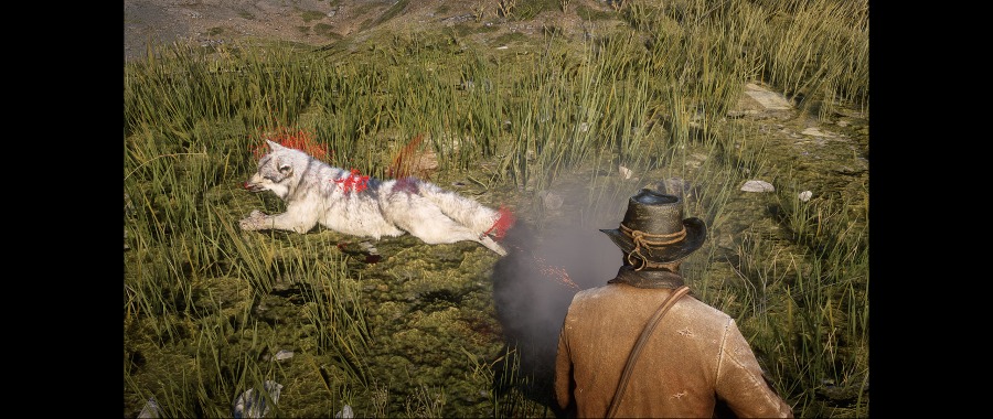 Red Dead Redemption 2 Screenshot 2020.06.07 - 17.57.16.21.png