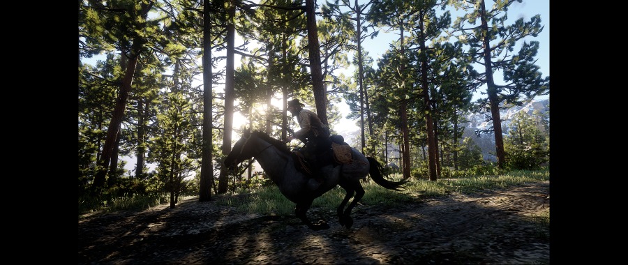 Red Dead Redemption 2 Screenshot 2020.06.07 - 17.59.11.04.png