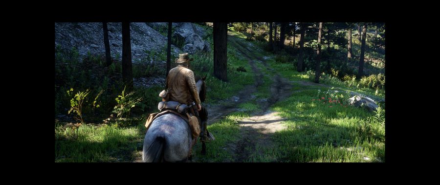 Red Dead Redemption 2 Screenshot 2020.06.07 - 16.09.21.86.png