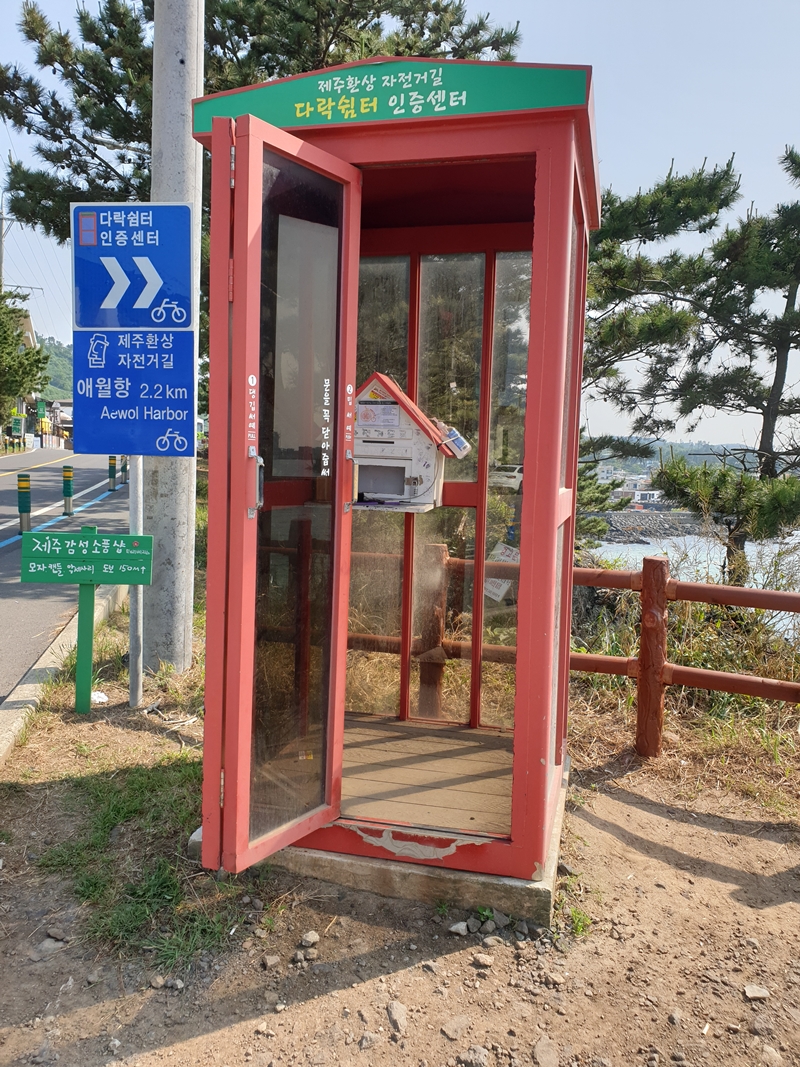(초스압) 제주 환상자전거길 234 km 완주 도전 겸사겸사 먹부림 여행_10.jpg