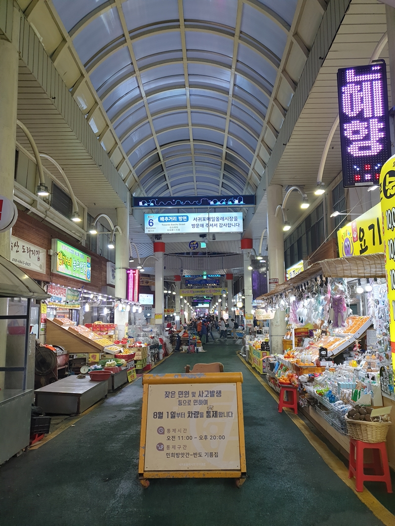 (초스압) 제주 환상자전거길 234 km 완주 도전 겸사겸사 먹부림 여행_38.jpg