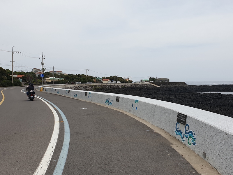 (초스압) 제주 환상자전거길 234 km 완주 도전 겸사겸사 먹부림 여행_52.jpg