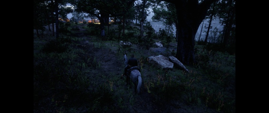 Red Dead Redemption 2 Screenshot 2020.06.07 - 22.21.17.67.png