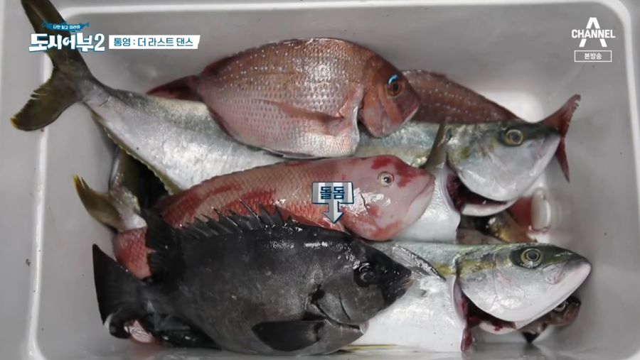 낚시 안하고 자연다큐멘터리 찍고있는 도시어부 근황 | 유머 게시판 낚시 안하고 자연다큐멘터리 찍고있는 도시어부 근황 | 유머 게시판 | 루리웹