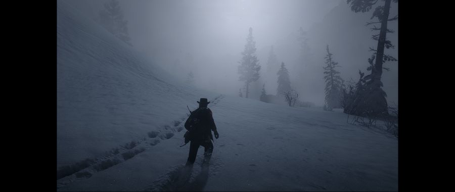 Red Dead Redemption 2 Screenshot 2020.06.08 - 12.26.20.49.png