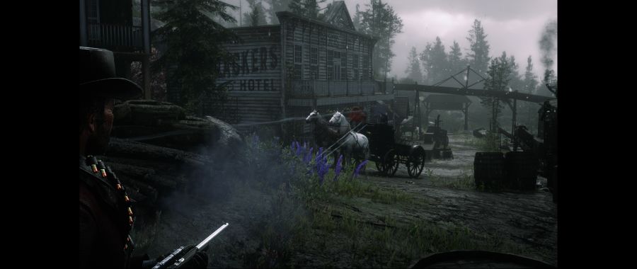 Red Dead Redemption 2 Screenshot 2020.06.08 - 15.02.03.32.png