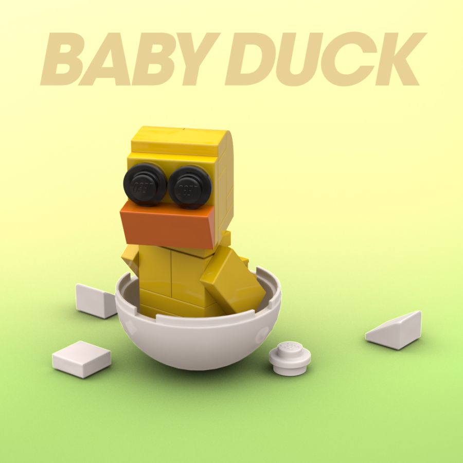 BABY DUCK.jpg