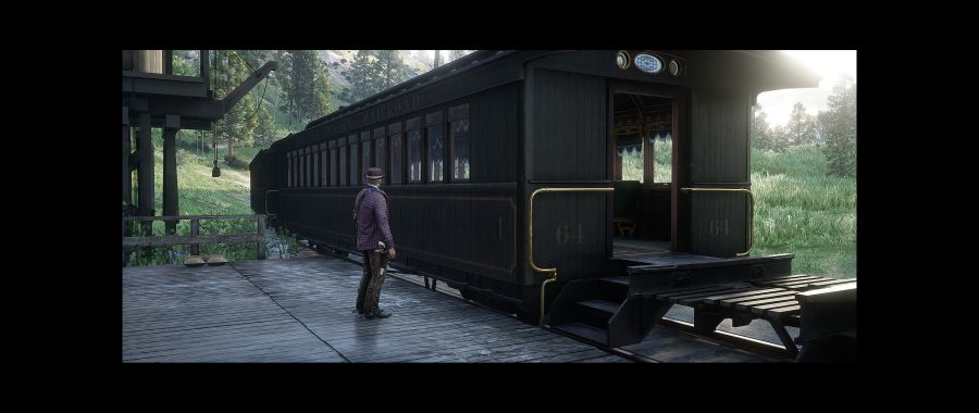 Red Dead Redemption 2 Screenshot 2020.06.09 - 03.46.53.59.png