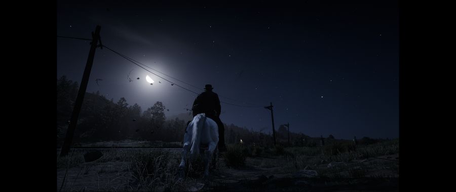 Red Dead Redemption 2 Screenshot 2020.06.09 - 17.10.31.07.png