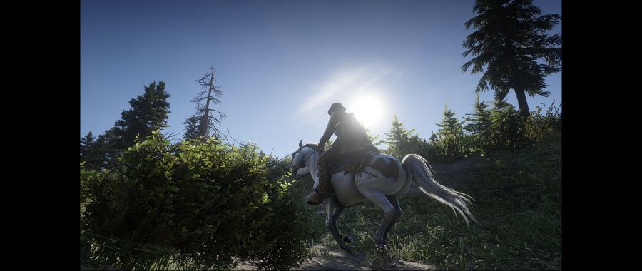 Red Dead Redemption 2 Screenshot 2020.06.10 - 01.55.56.76.png