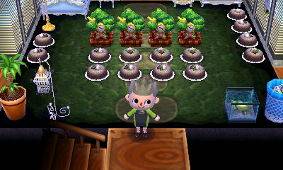 요즘 튀동숲 근황_6.jpg