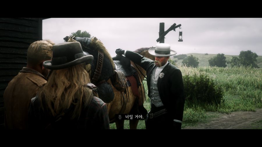 Red Dead Redemption 2 Screenshot 2020.07.09 - 04.58.09.97.png