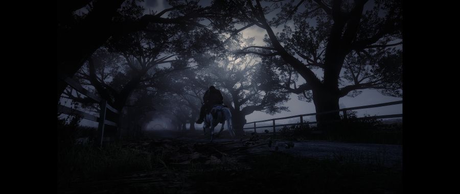 Red Dead Redemption 2 Screenshot 2020.06.10 - 02.38.31.73.png