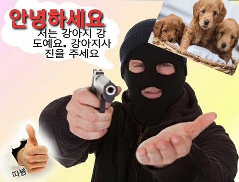 저장용 강도짤_2.jpg