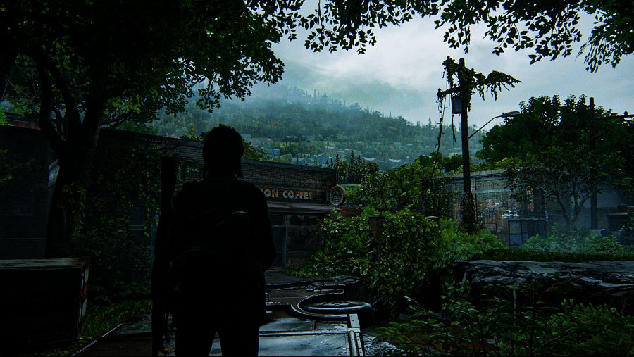 The Last of Us™ Part II_20200626153849.png