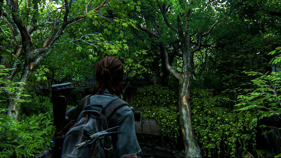 The Last of Us™ Part II_20200626154047.png