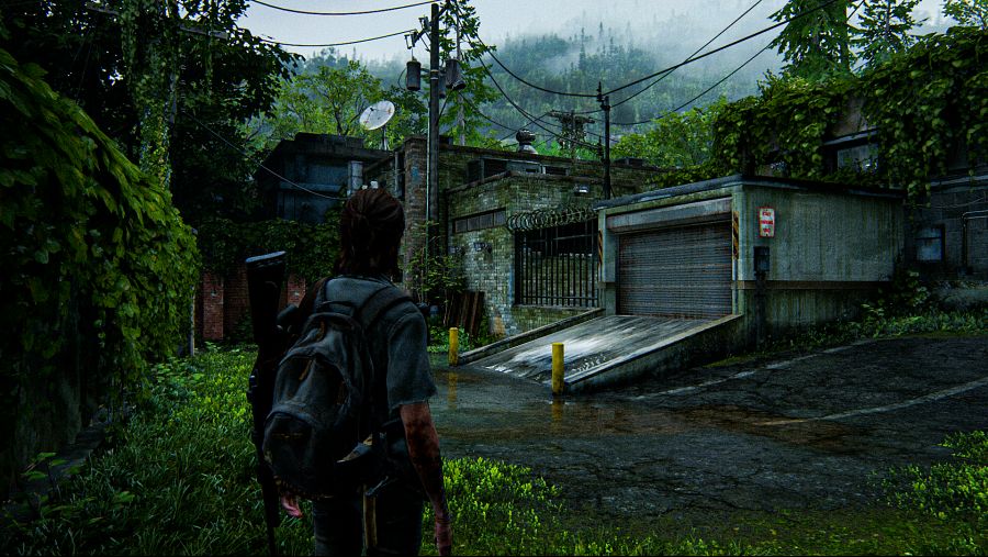 The Last of Us™ Part II_20200626160020.png
