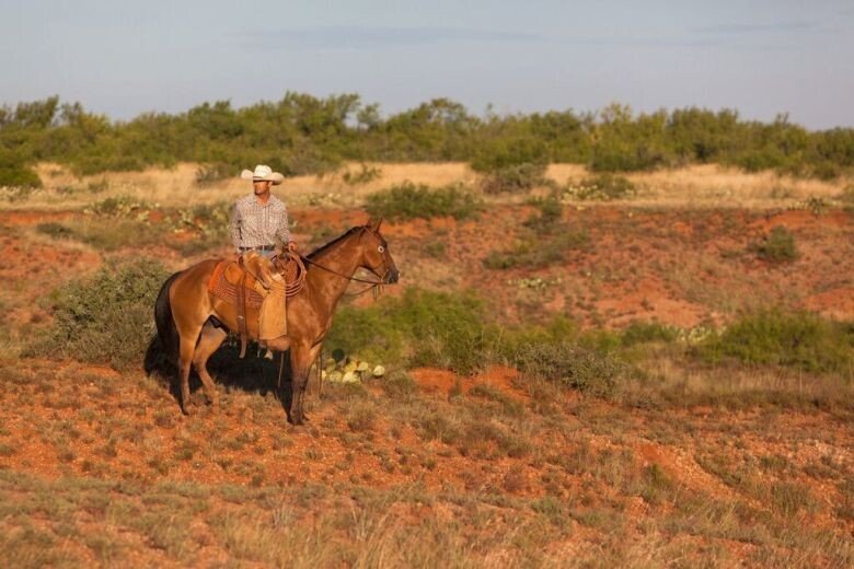 목장 팝니다 ^^ (8000억).jpg_6.jpeg