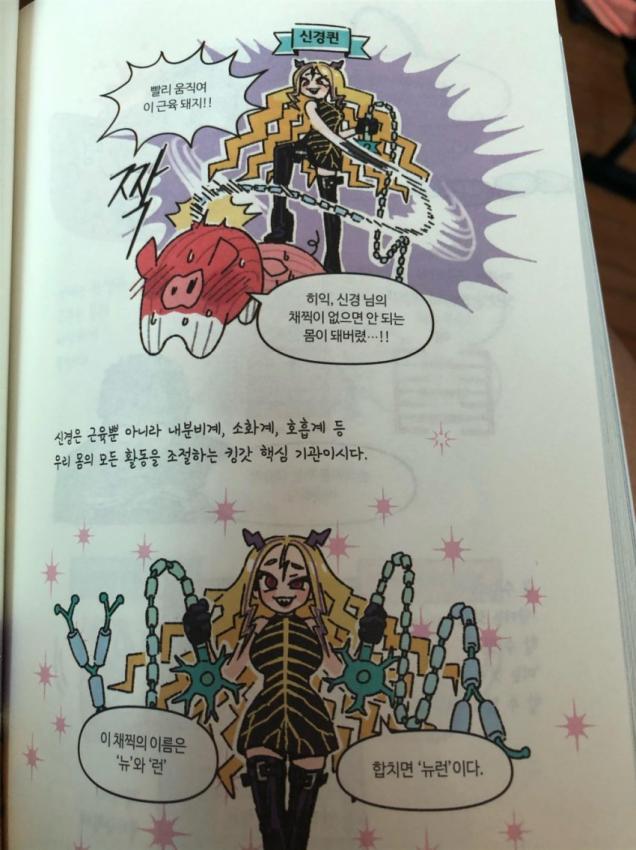 인체 모에화 - 뉴런 여왕님.jpg_1.jpg